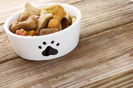 Hundekese in Napf