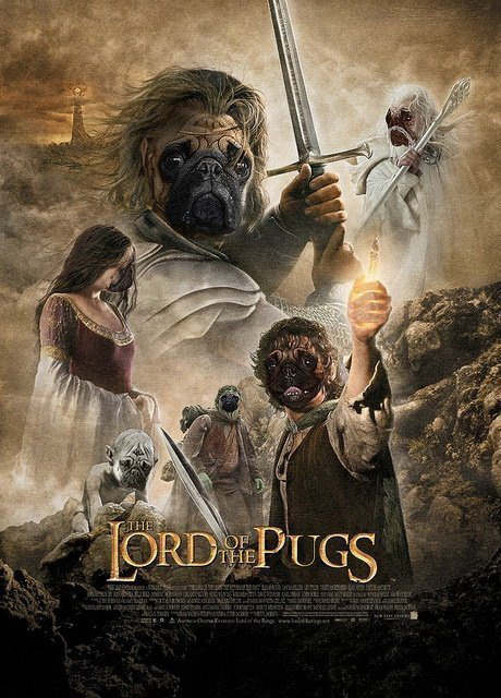 LordOfThePugs