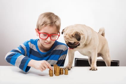 Junge beschäftigt Mops mit Intelligenzspiel